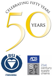 bsi sc21 logo